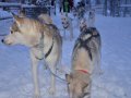 Экспедиция ON-LINE